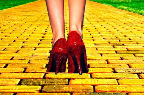 Follow the yellow brick road:  Dorothy as a role model for leadership